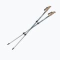 Trekking poles Silva Trekking Poles Alu Tele black 2