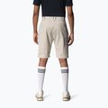 Men's shorts Houdini Go sandstorm 2