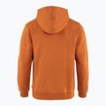 Men's trekking sweatshirt Fjällräven Logo Hoodie brown F84144 2