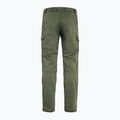 Men's trekking trousers Fjällräven Vidda Pro Lite green F86891 6