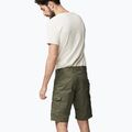 Men's Fjällräven Vidda Pro Lite trekking shorts green F86892 3