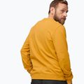 Men's trekking sweatshirt Fjällräven 1960 Logo Badge Sweater 161 mustard yellow 4