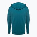 Men's trekking sweatshirt Fjällräven Logo Hoodie deep sea 2