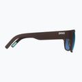 Sunglasses POC Want bronzite brown/clarity univpartly sunny turquoise 4