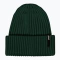 Winter hat POC Beanie pargasite green