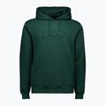 POC Hood pargasite green 3