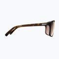 POC Will tortoise brown/clarity trail/partly sunny silver sunglasses 4