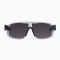 Bicycle goggles POC Aspire argentite silver/clarity define silver 3