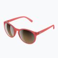 Sunglasses POC Know ammolite coral translucent/clarity trail silver 5