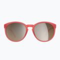 Sunglasses POC Know ammolite coral translucent/clarity trail silver 6