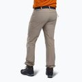 Men's Pinewood Finnveden Sports Light moth brown trekking trousers 2