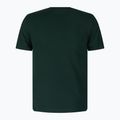 Men's trekking shirt Peak Performance Original Tee green G77692260 2