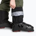 Men's Peak Performance Vertical GTX pine needle ski trousers 6