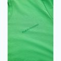 Peak Performance men's Explore Logo t-shirt peppermint 6