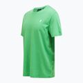 Peak Performance men's Explore Graphic peppermint t-shirt 5