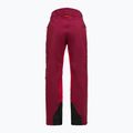Women's ski trousers Peak Performance Vislight GTX C-Knit 3L vertical zenith/tech burgundy 7