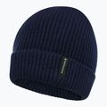 Children's winter hat Didriksons Buz Beanie navy