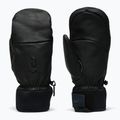 Ski gloves Peak Performance Leather Hipe Solarcore Insulated Mitten black