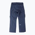 Men's Colourwear Flight navy snowboard trousers 2