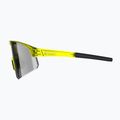Tripoint 005 Lake Victoria transparent neon yellow/smoke sunglasses 5