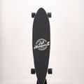 Fish Skateboards Pixie longboard blue LONG-PIX-SIL-BLA 9