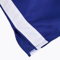 Cleto Reyes men's Satin Boxing shorts blue/white 4