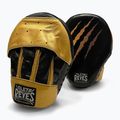 Cleto Reyes High Performance gold/black trainer paws