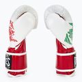 Cleto Reyes Velcro Sparring boxing gloves red/white green red 4