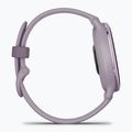 Watch Garmin Vivoactive 5 metallic orchid aluminum bezel/orchid 5