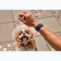 Smart band Garmin CIRQA capitan blue 6