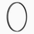 DT Swiss U 663 29 30 MM DB VI 36 black bicycle rim