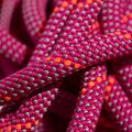 Mammut 9.5 Crag Dry climbing rope pink 4