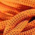 Mammut9.8 Crag Dry climbing rope orange 4