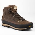 Men's trekking boots Dolomite 54 Trek Gtx M's brown 271850_0300