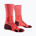 Men's socks X-Socks Trailrun Perform Crew fluo red/namib red