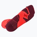 Men's socks X-Socks Trailrun Perform Crew fluo red/namib red 5