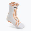 Running shoes Shoes X-Bionic Terraskin X00/C x white/x black 8