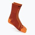 Socks X-Socks Trailrun Terraskin Expert Crew burnt red/orange