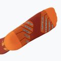 Socks X-Socks Trailrun Terraskin Expert Crew burnt red/orange 4