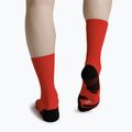 Socks X-Socks Run Perform Crew rocket red 3