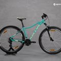 Kellys Vanity 10 29" women's mountain bike green 72263 15
