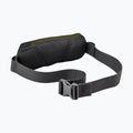 Running belt Scott Endurance Tr'1 black/fir green 2