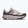 Men's shoes On Running Cloudhorizon Waterproof fog/thorn