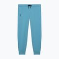 Men's training trousers On Focus Tech niagara 8