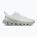 Men's training shoes On Running Cloudpulse Next iceberg/tin 2