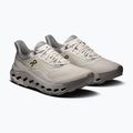 Men's trekking shoes On Cloudhorizon 2 pearl/fog 10