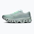 Men's running shoes On Cloudmonster 3 brook/flurry 2
