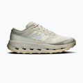 Men's running shoes On Cloudultra 3 brume/winter
