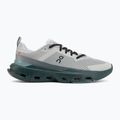 Men's training shoes On Cloudpulse Next Glacier/Larch 2