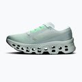 Women's running shoes On Cloudmonster 3 brook/flurry 2